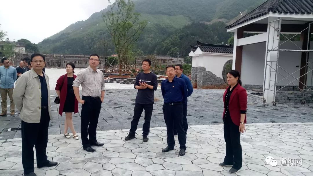 药产业园和大坪内冲村了解我县中医药产业发展与乡村振兴项目推进情况